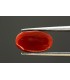 3.61 cts Natural Coral - Moonga (SKU:90080937)