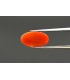 3.6 cts Natural Coral - Moonga (SKU:90081385)