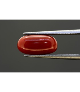 1.63 cts Unheated Natural Ruby (Manak)