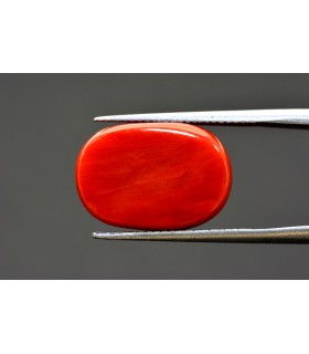 15.11 cts Natural Coral - Moonga (SKU:90084614)