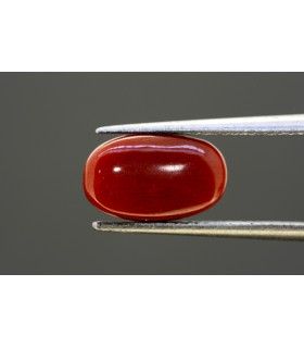 1.61 cts Unheated Natural Ruby (Manak)