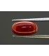 1.61 cts Unheated Natural Ruby (Manak)