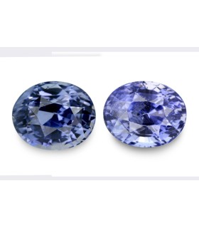 12.66 cts Unheated Natural Blue Sapphire (Neelam) - Earring Pair
