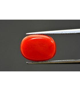 6.74 cts Natural Coral - Moonga (SKU:90083846)