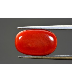 8.09 cts Natural Coral - Moonga (SKU:90083891)