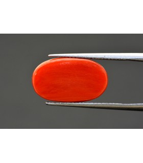 10.43 cts Natural Coral - Moonga (SKU:90084638)