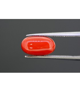 2.88 cts Natural Yellow Sapphire (Pukhraj)