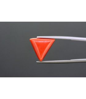3.47 cts Natural Coral (Moonga)