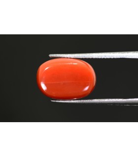 10.92 cts Natural Coral - Moonga (SKU:90088483)