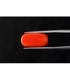 9.94 cts Natural Coral - Moonga (SKU:90088650)