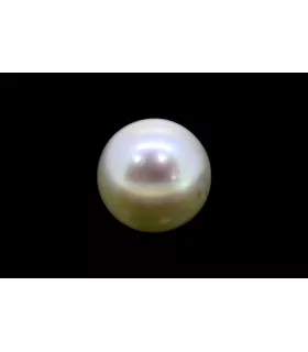3.83 cts Cultured Pearl (Moti)