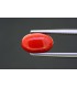2.8 cts Natural Pearl (Moti)