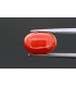 2.77 cts Natural Pearl (Moti)