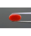 2.68 cts Natural Emerald (Panna)