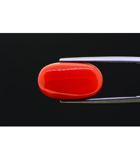 11.75 cts Natural Coral - Moonga (SKU:90119606)