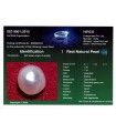 7.73 cts Natural Emerald (Panna)