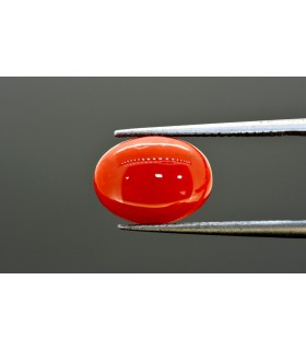 2.14 cts Natural Yellow Sapphire (Pukhraj)