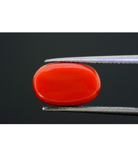 5.83 cts Natural Coral - Moonga (SKU:90090479)