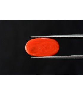 1.07 cts Unheated Natural Ruby (Manak)