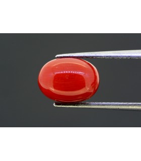 2.91 cts Unheated Natural Blue Sapphire (Neelam)