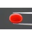 3.84 cts Unheated Natural Blue Sapphire (Neelam)
