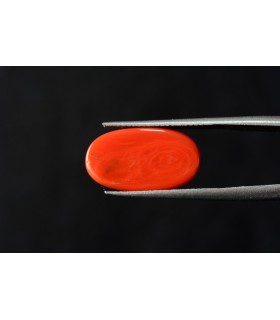 8.67 cts Natural Coral - Moonga (SKU:90088636)