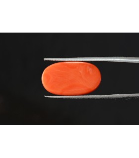 12.53 cts Natural Coral - Moonga (SKU:90088643)