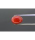 1.97 cts Unheated Natural Blue Sapphire (Neelam)