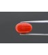 3.12 cts Cultured Pearl (Moti)