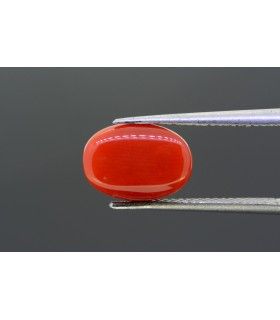 5.94 cts Natural Emerald (Panna)