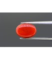4.09 cts Natural Ruby (Manak)