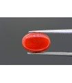 4.09 cts Natural Ruby (Manak)