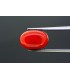 4.09 cts Natural Ruby (Manak)