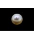 3.3 cts Cultured Pearl (Moti)