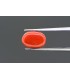 4.63 cts Natural Coral - Moonga (SKU:90121371)