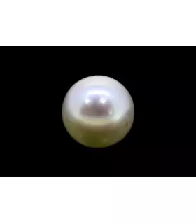 3.83 cts Cultured Pearl (Moti)