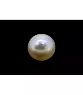 3.3 cts Cultured Pearl (Moti)