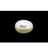 2.55 cts Cultured Pearl (Moti)