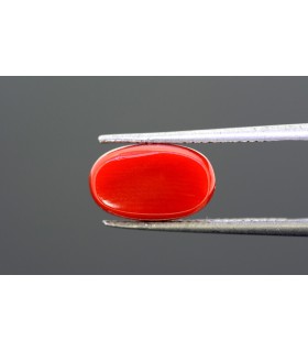 4.84 cts Natural Coral - Moonga (SKU:90090493)