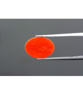 3.63 cts Natural Coral - Moonga (SKU:90023248)