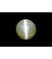 10.28 cts Natural Cats Eye (Lehsunia)