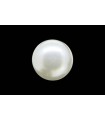 2.55 cts Natural Pearl (Moti)