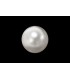 1.28 cts Natural Pearl - Moti (SKU:90091629)