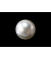 1.67 cts Natural Pearl (Moti)