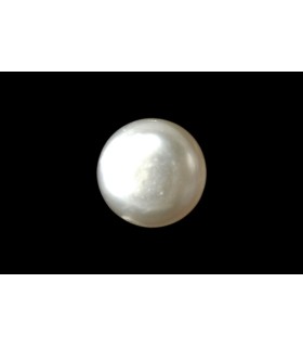 1.67 cts Natural Pearl - Moti (SKU:90091650)