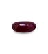 10.92 cts Natural Coral (Moonga)
