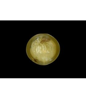 2.07 cts Unheated Natural Yellow Sapphire (Pukhraj)