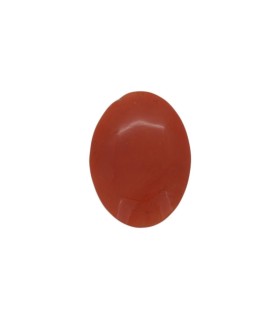 3.64 cts Natural Coral (Moonga)