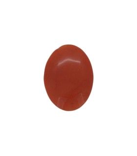 3.64 cts Natural Coral (Moonga)