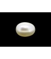 2.55 cts Cultured Pearl (Moti)